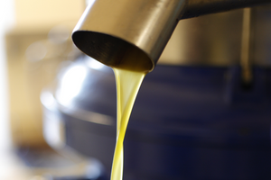 LA TRITURATION DES OLIVES POUR PRESSER VOTRE PROPRE HUILE D’OLIVE AU MOULIN FORTUNÉ ARIZZI - NOVEMBRE 2024