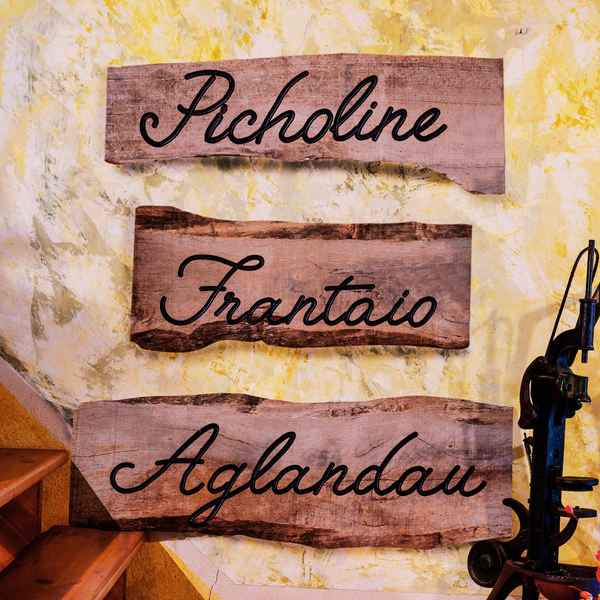 500 ml - Huile d'Olive Vierge Extra de France en Boîte Cadeau - Cru 2025-2026