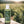 Load image into Gallery viewer, 200 ml - shower gel olive oil
