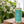200 ml - Shower Gel Chevrefeuille